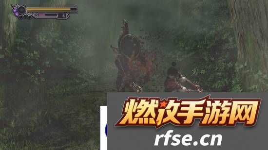 本站
